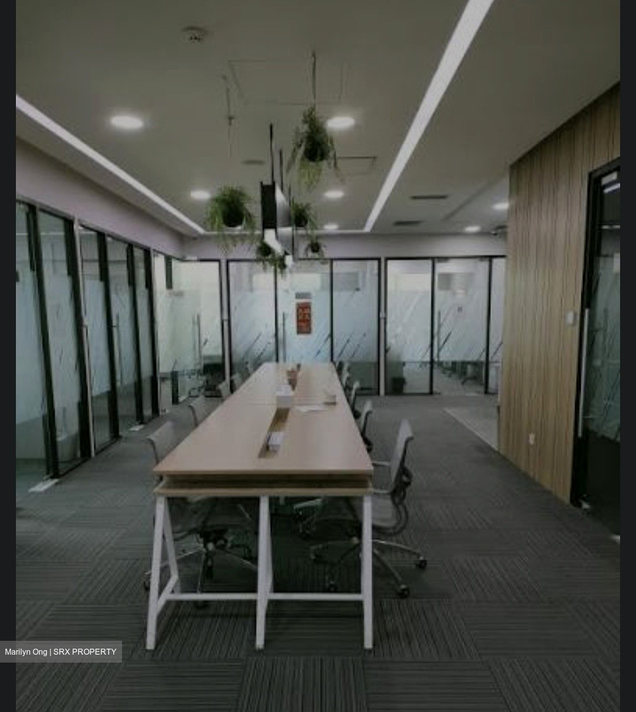 International Plaza (D2), Office #544281541